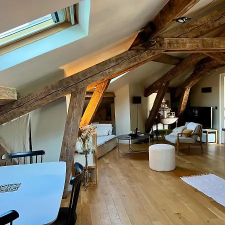 Nid Douillet Sous Les Toits Bourguignons Apartment Dijon