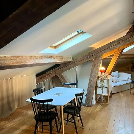 Apartment Nid Douillet Sous Les Toits Bourguignons