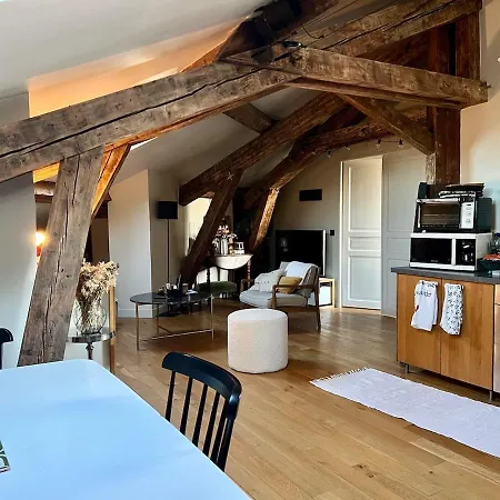 Apartment Nid Douillet Sous Les Toits Bourguignons