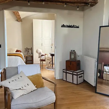 Nid Douillet Sous Les Toits Bourguignons Apartment Dijon