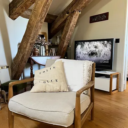 Nid Douillet Sous Les Toits Bourguignons Apartment *
